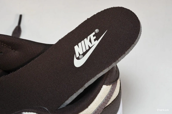 FJ4734-100 Dunk  Eclipse Plum Nike Low 0717